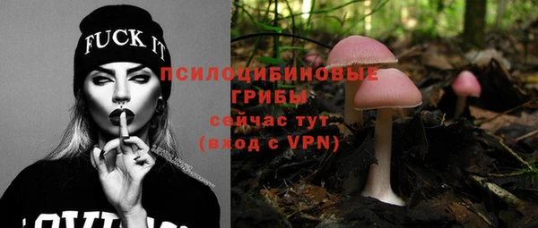 гашик Бугульма