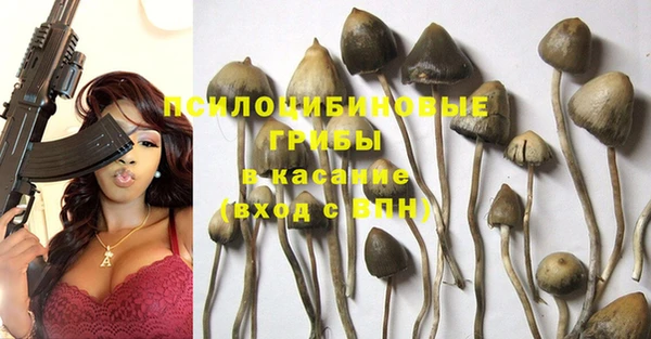 гашик Бугульма