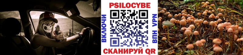 Псилоцибиновые грибы прущие грибы Йошкар-Ола